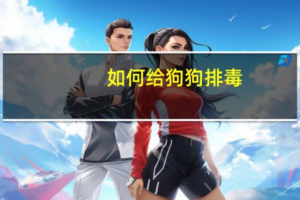 如何给狗狗排毒