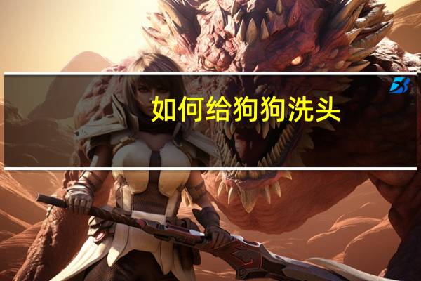 如何给狗狗洗头
