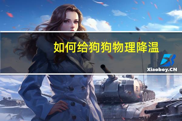 如何给狗狗物理降温