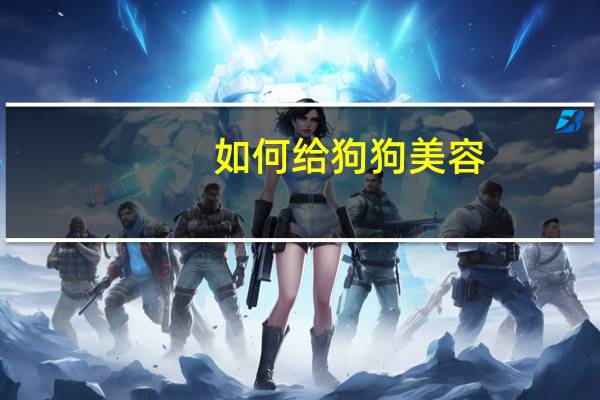 如何给狗狗美容