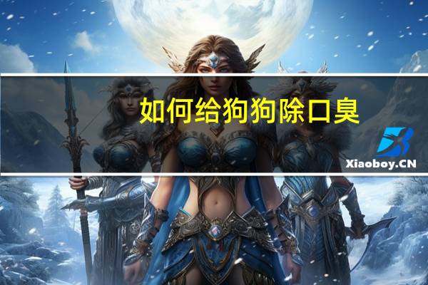 如何给狗狗除口臭