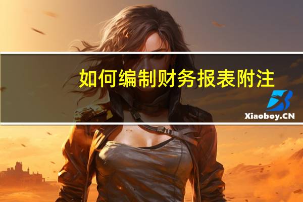 如何编制财务报表附注