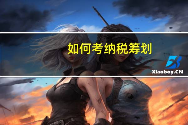 如何考纳税筹划