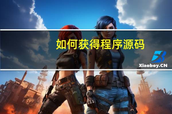 如何获得程序源码