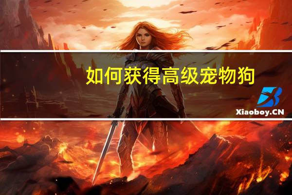 如何获得高级宠物狗