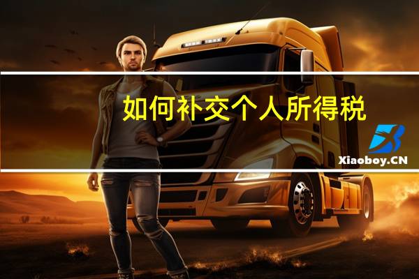 如何补交个人所得税