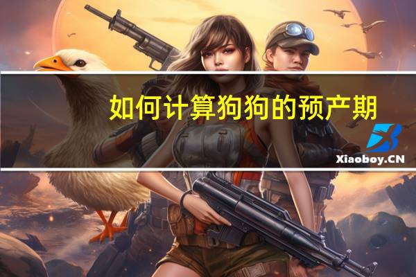 如何计算狗狗的预产期