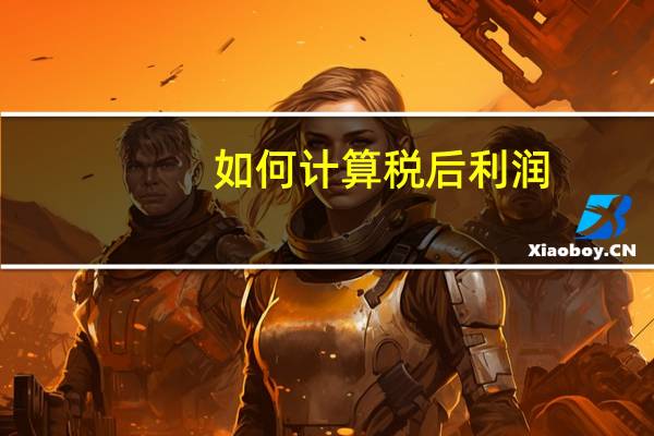 如何计算税后利润