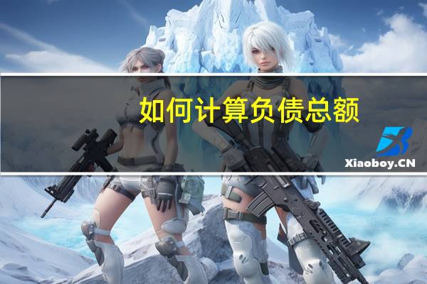 如何计算负债总额?