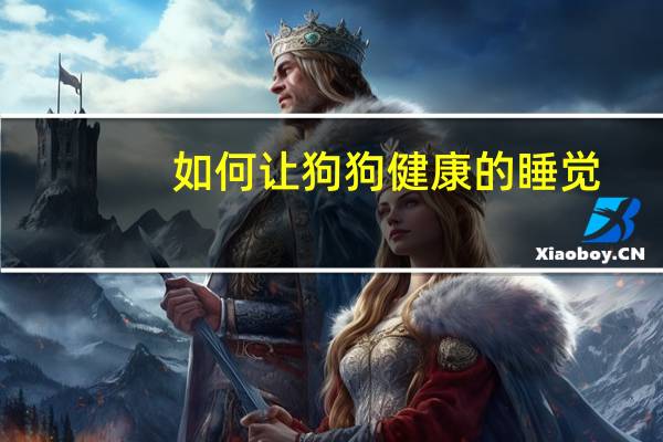 如何让狗狗健康的睡觉
