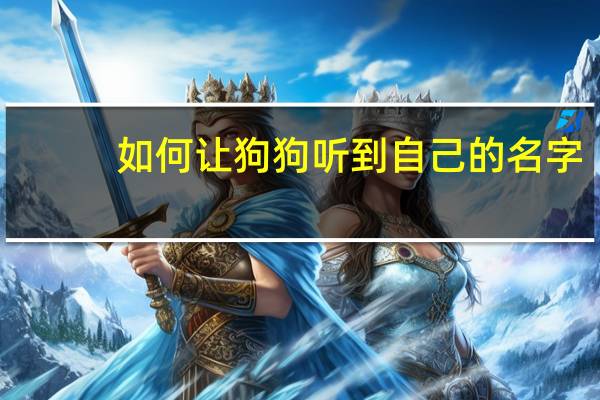 如何让狗狗听到自己的名字