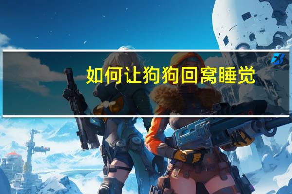 如何让狗狗回窝睡觉