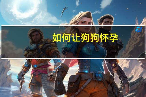 如何让狗狗怀孕
