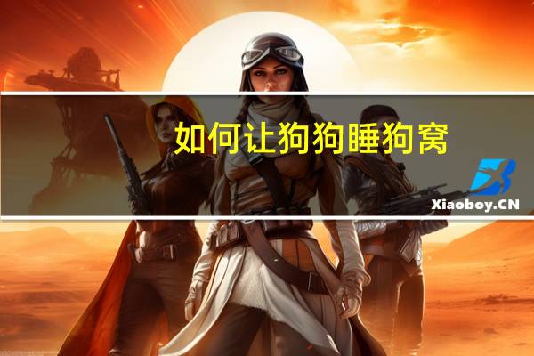 如何让狗狗睡狗窝