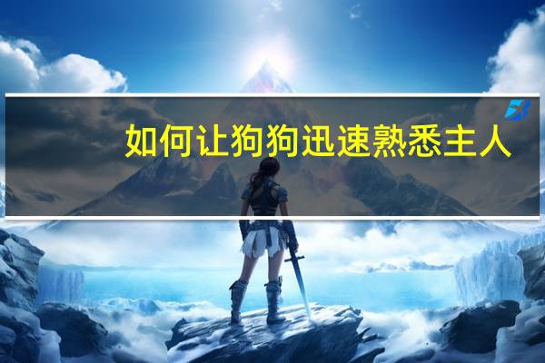 如何让狗狗迅速熟悉主人