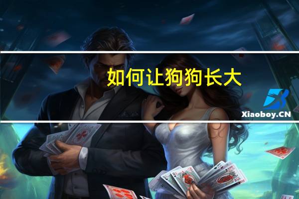 如何让狗狗长大