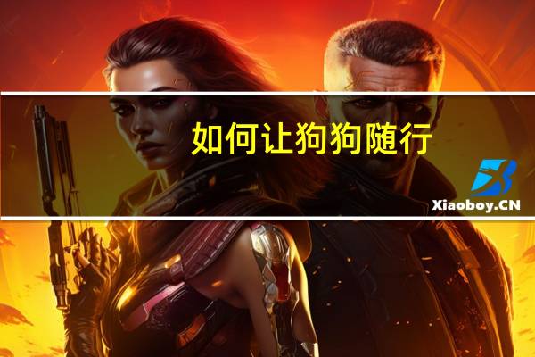 如何让狗狗随行