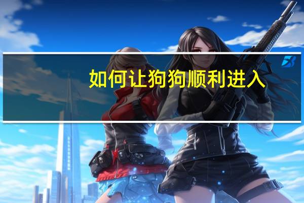 如何让狗狗顺利进入