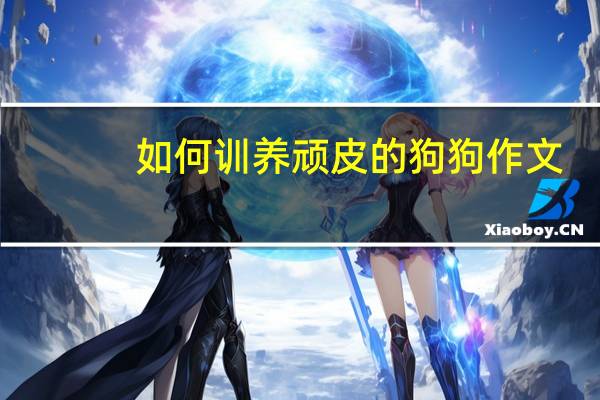 如何训养顽皮的狗狗作文