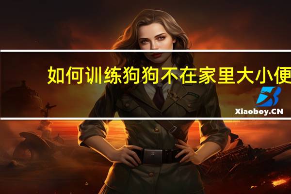 如何训练狗狗不在家里大小便
