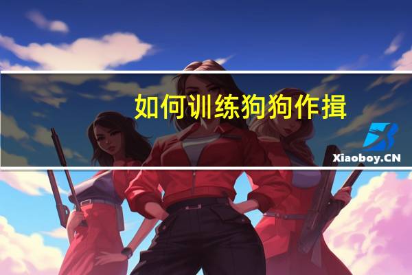 如何训练狗狗作揖