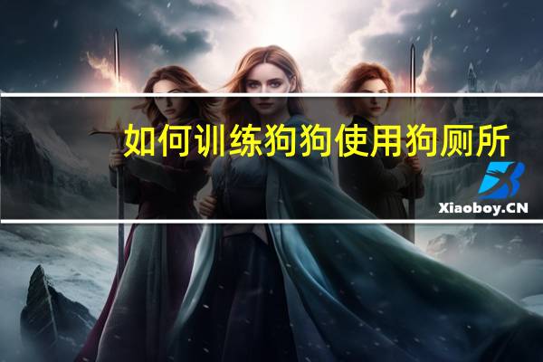 如何训练狗狗使用狗厕所