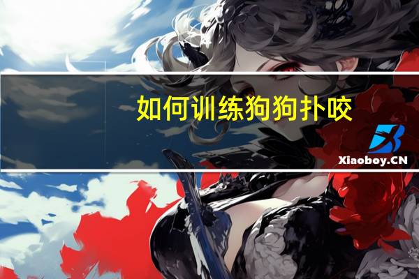 如何训练狗狗扑咬