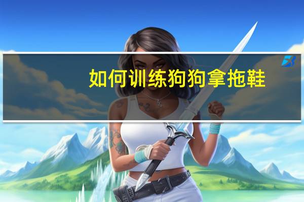 如何训练狗狗拿拖鞋