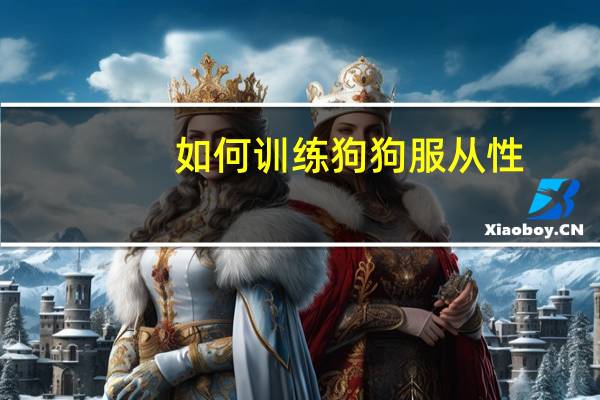 如何训练狗狗服从性