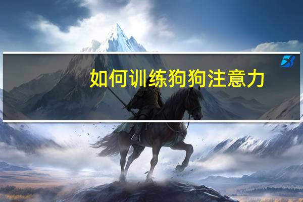 如何训练狗狗注意力