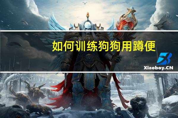 如何训练狗狗用蹲便