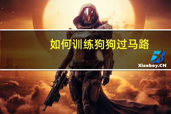 如何训练狗狗过马路