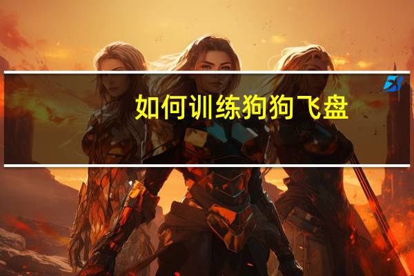 如何训练狗狗飞盘