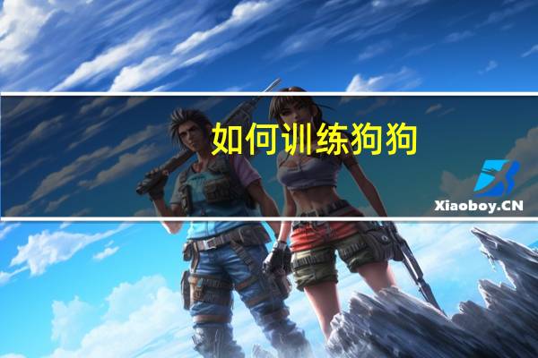 如何训练狗狗