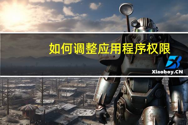 如何调整应用程序权限