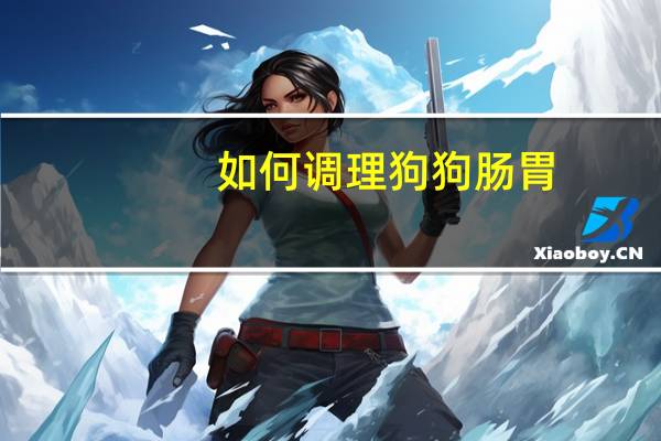 如何调理狗狗肠胃
