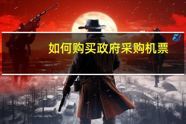 如何购买政府采购机票