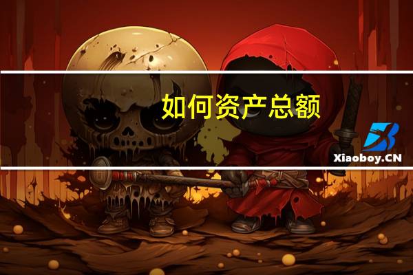 如何资产总额