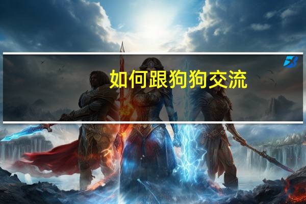 如何跟狗狗交流