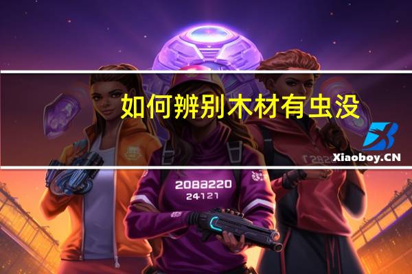 如何辨别木材有虫没