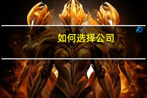 如何选择公司