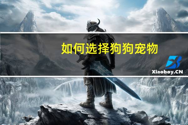 如何选择狗狗宠物