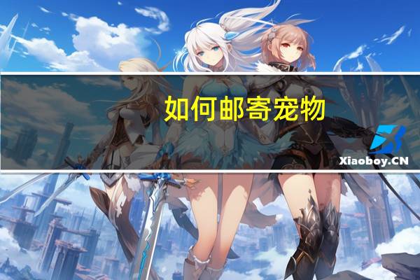如何邮寄宠物