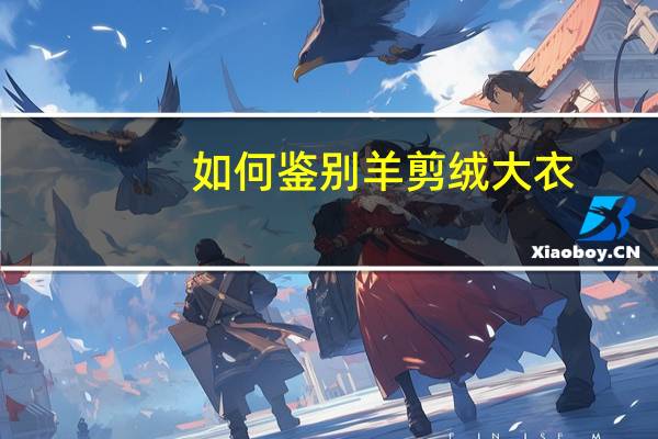 如何鉴别羊剪绒大衣