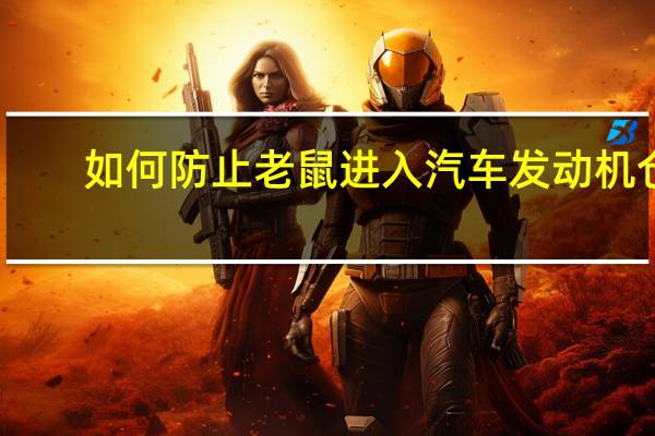 如何防止老鼠进入汽车发动机仓