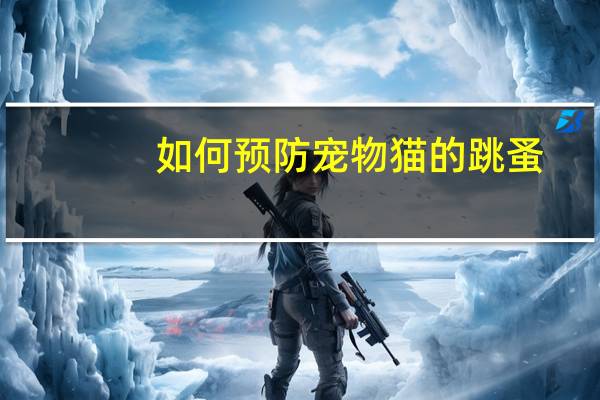 如何预防宠物猫的跳蚤