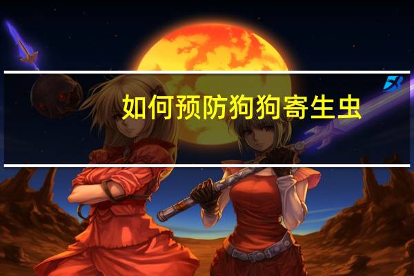 如何预防狗狗寄生虫