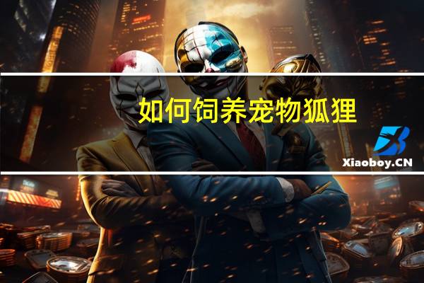如何饲养宠物狐狸