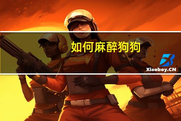 如何麻醉狗狗