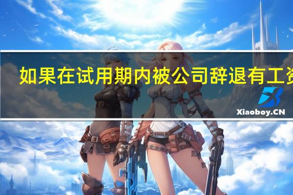 如果在试用期内被公司辞退有工资吗